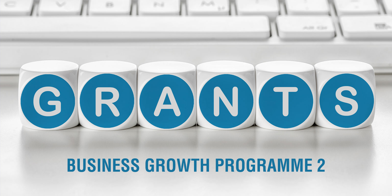 Business Growth Programme 2