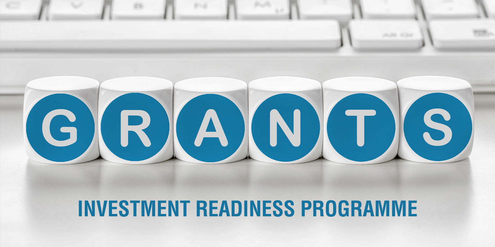Investment Readiness Programme